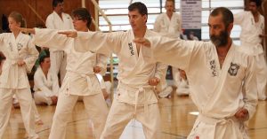 Taekwondo lessons for adults