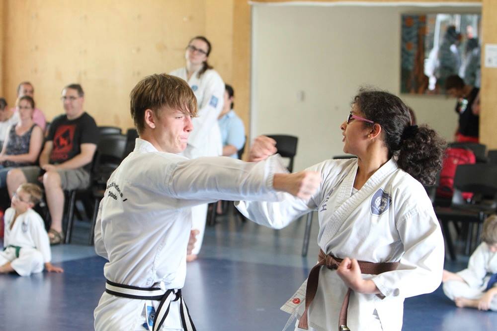 taekwondo for kids