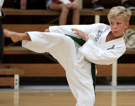 Martial Arts as a Business
