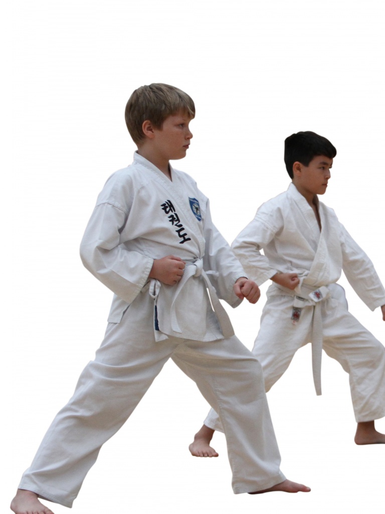 Four Direction Thrust (Saju Tulgi)
