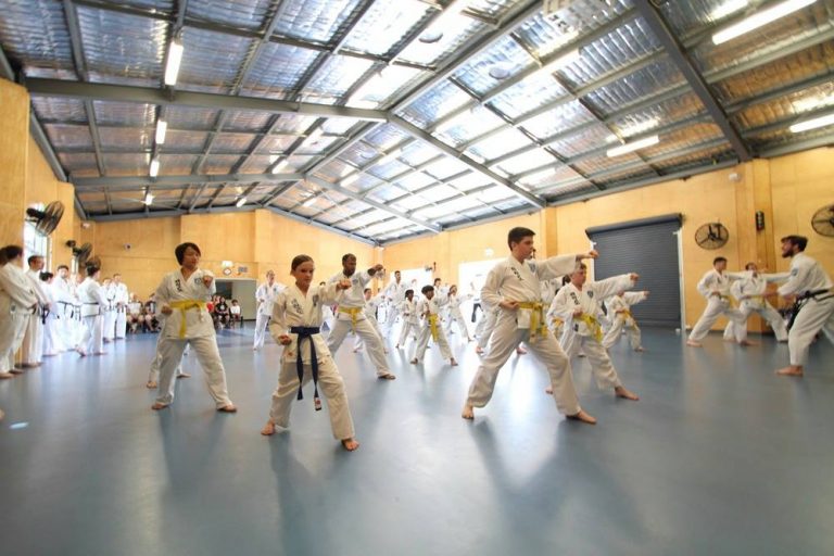 taekwondo lessons