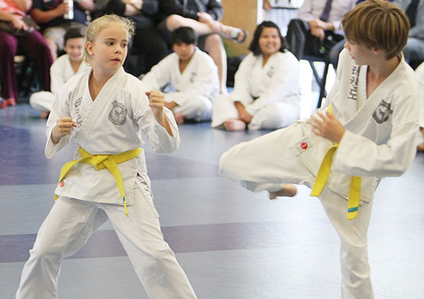 Martial Arts and Motivation