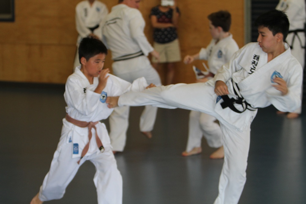 taekwondo kick